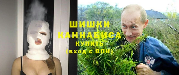 крисы Верхний Тагил